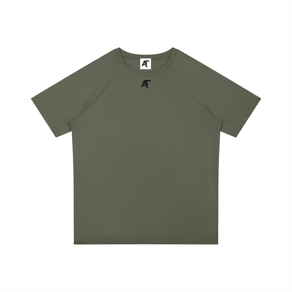 Philippians 4:13 Raglan Sleeve Performance T-Shirt