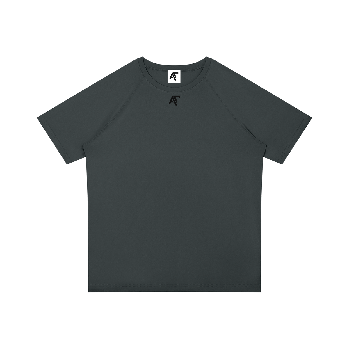 Philippians 4:13 Raglan Sleeve Performance T-Shirt