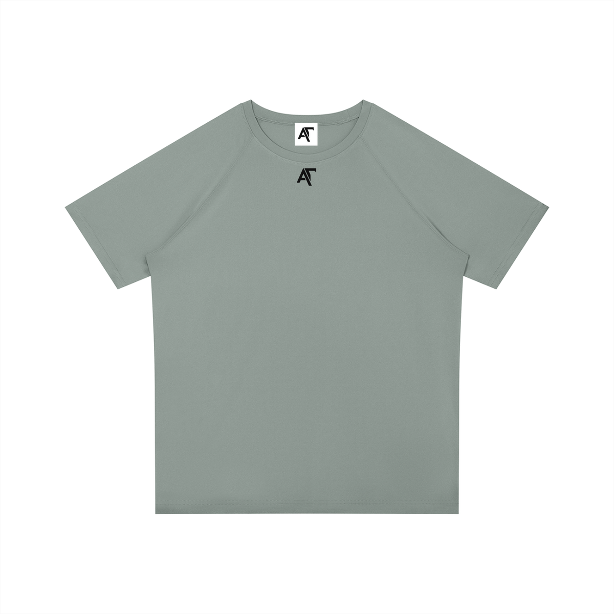 Philippians 4:13 Raglan Sleeve Performance T-Shirt