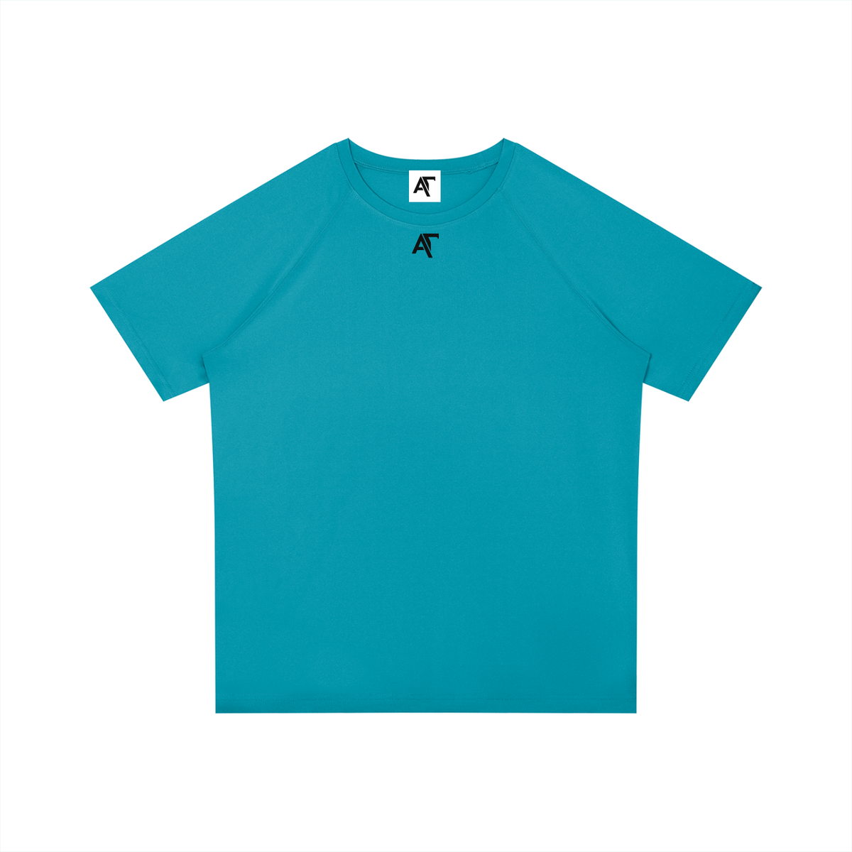 Philippians 4:13 Raglan Sleeve Performance T-Shirt