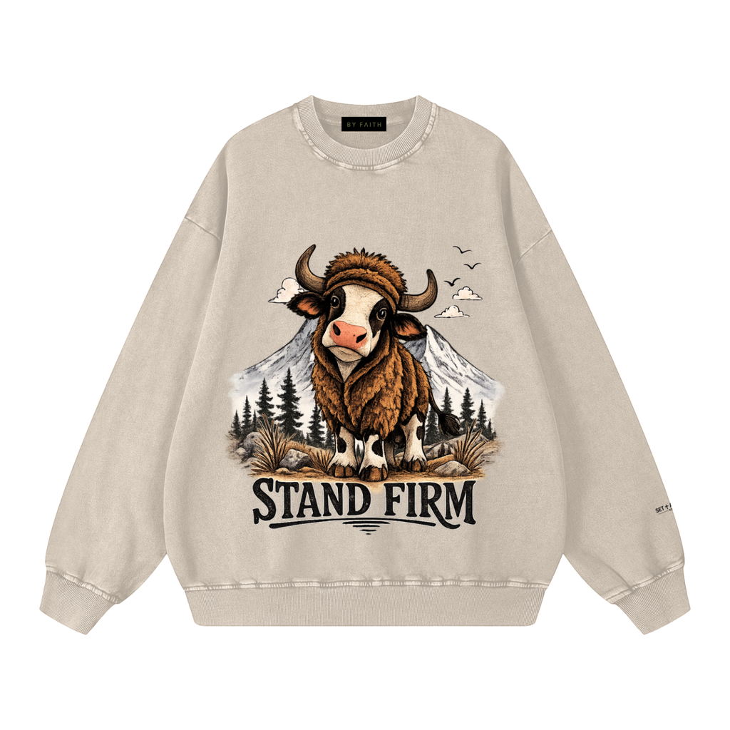 Stand Firm Premium Oversized Sweatshirt